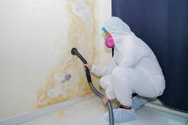 Best Emergency Mold Remediation  in Veneta, OR